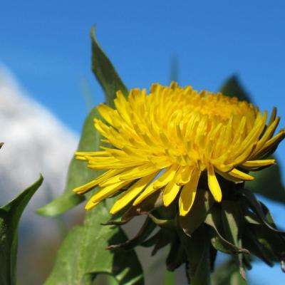 皇冠登录入口welcome截图