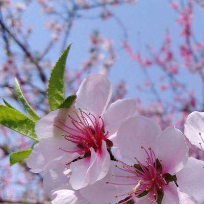 kok下载-登录入口